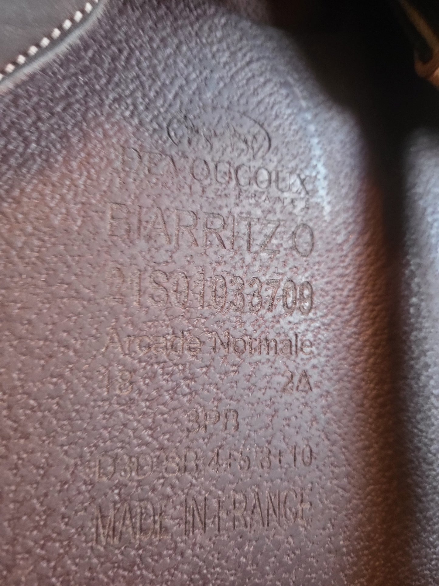 Devoucoux Biarritz O estesatula 18