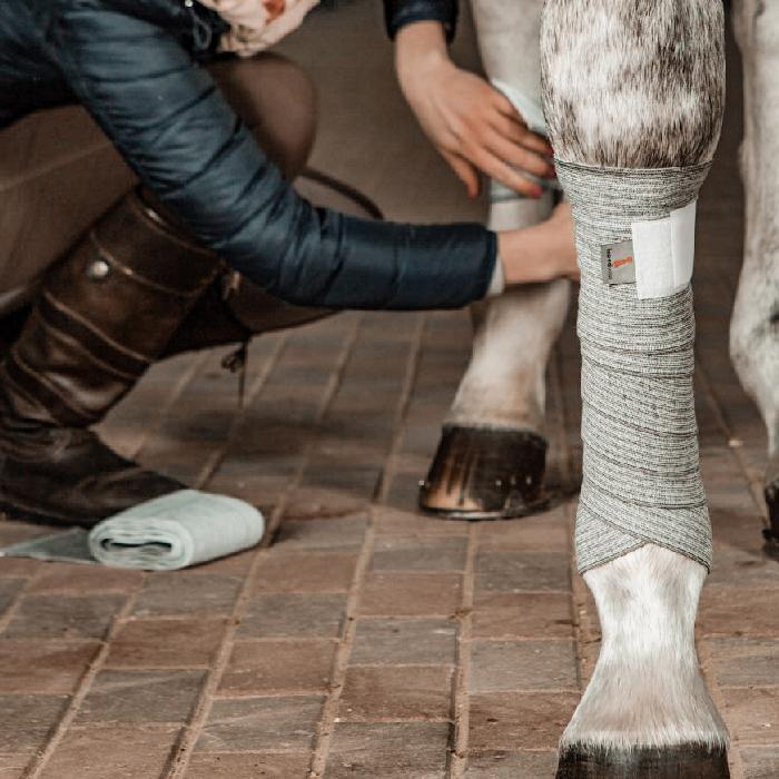 Incrediwear Equine pintelit