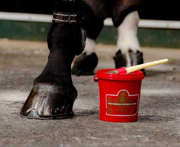 Kevin Bacon Hoof Dressing kaviorasva 1L