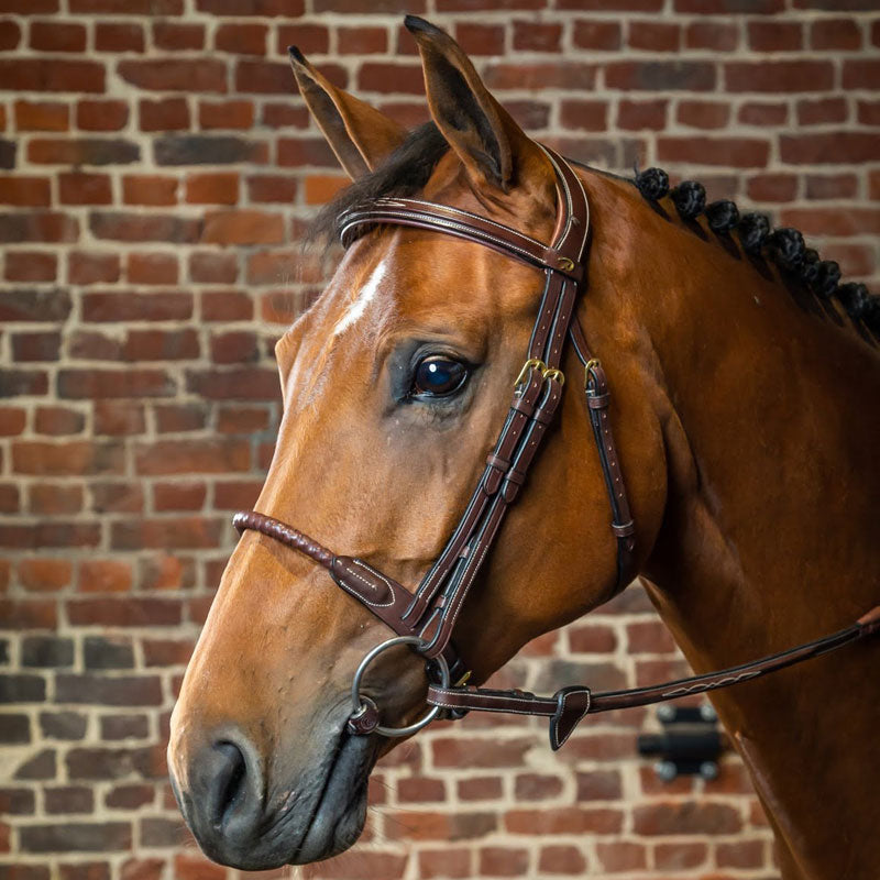 Dyón Leather Covered Rope Noseband Suitset