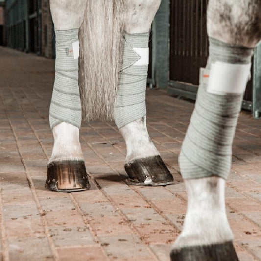 Incrediwear Equine pintelit ponikoko