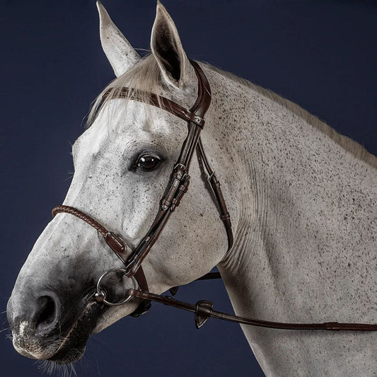 Dyón Leather Covered Rope Noseband Suitset
