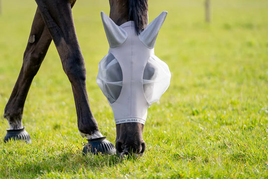 Aloga Fly Mask
