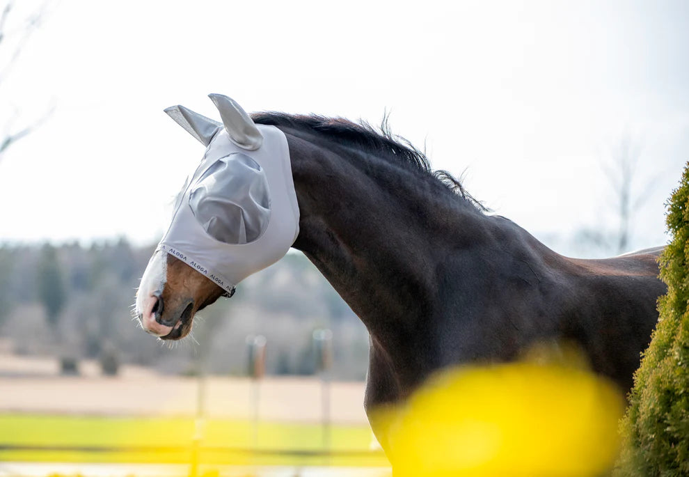 Aloga Fly Mask